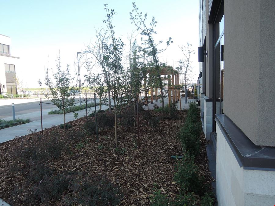 Harbour Landing Business Park