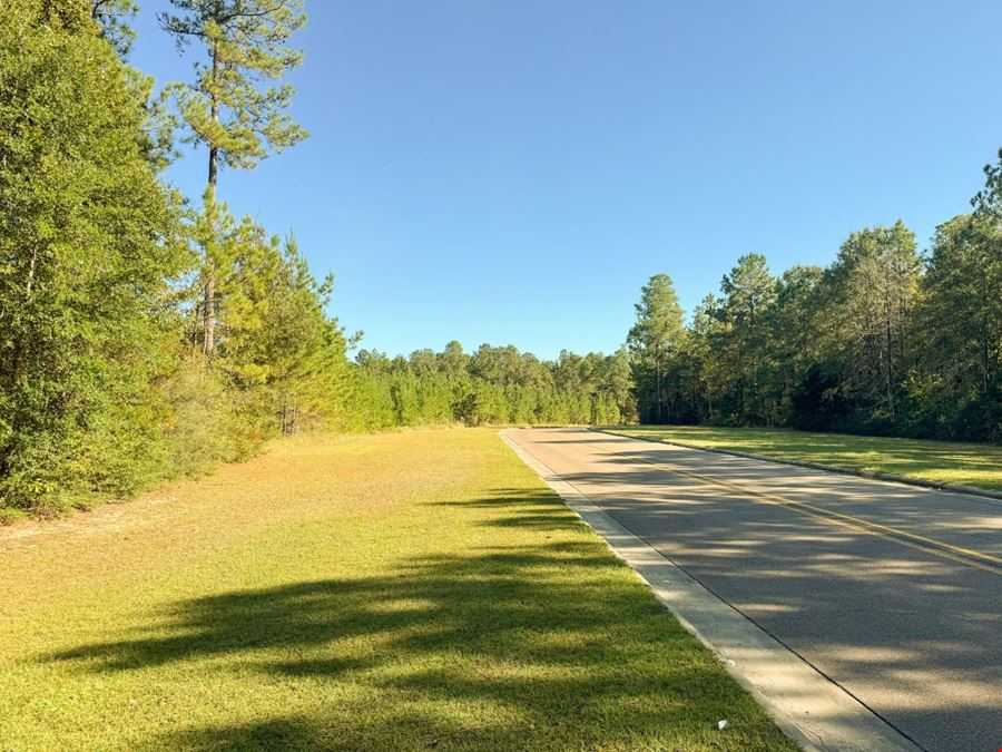 Byrd Blvd Petal Land