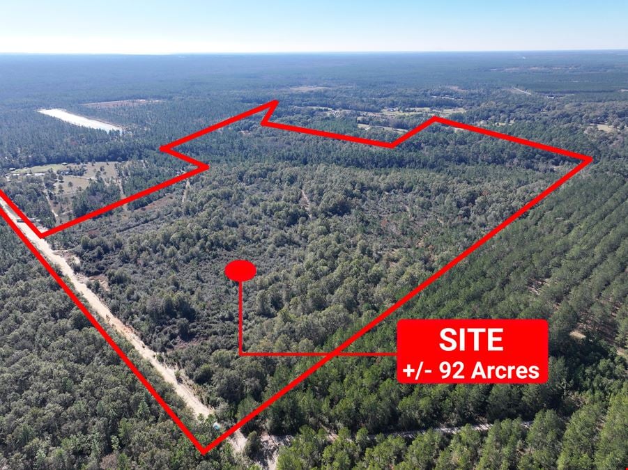 92 Acres in Milton Florida