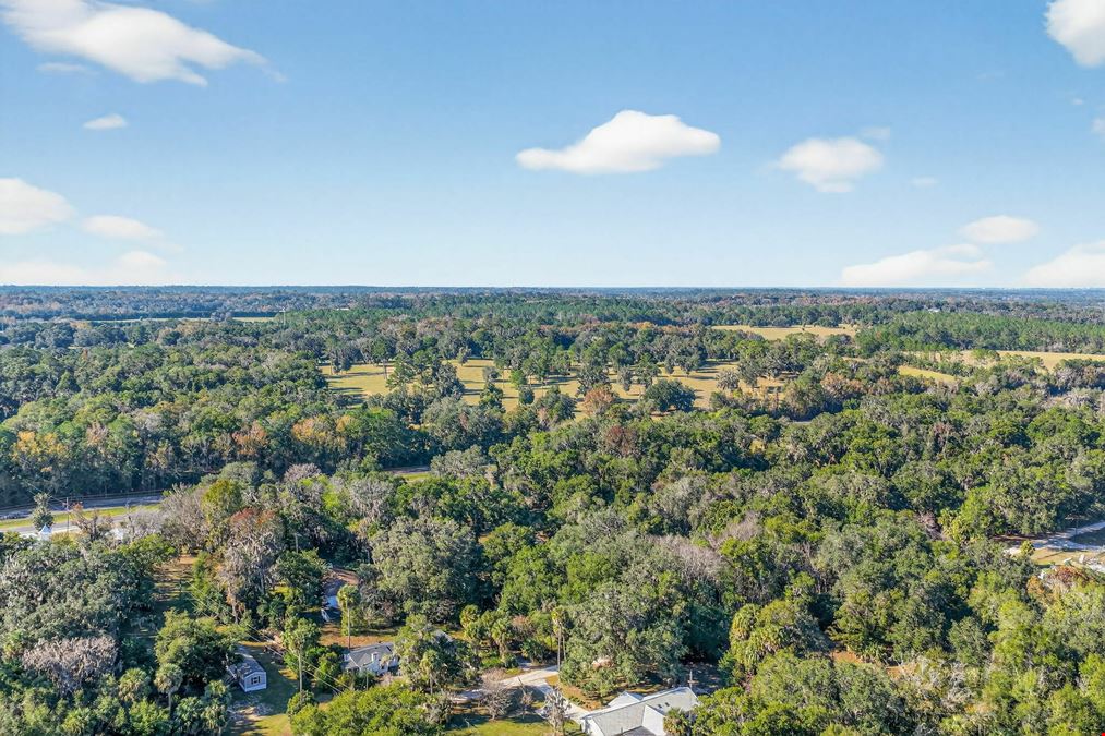 MICANOPY