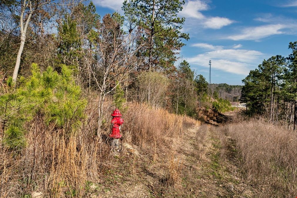 2600 Block Park Avenue, Lot 2L, Hot Springs, AR 71901