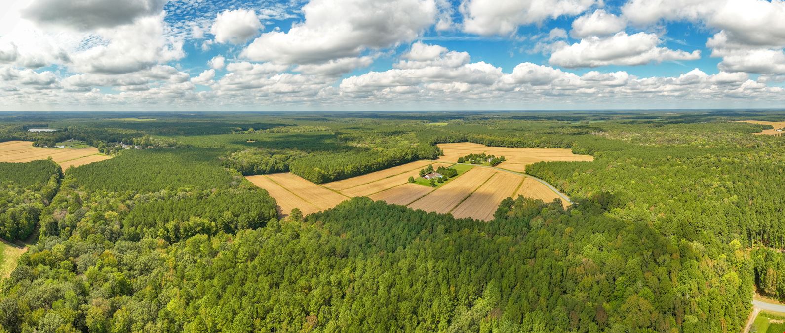 Riley Farm - 109.47 Acres of Ag Land
