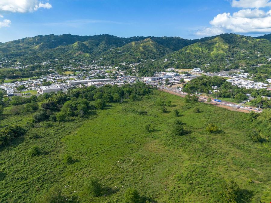 Bo Quebrada Larga, Fincas E y T Anasco