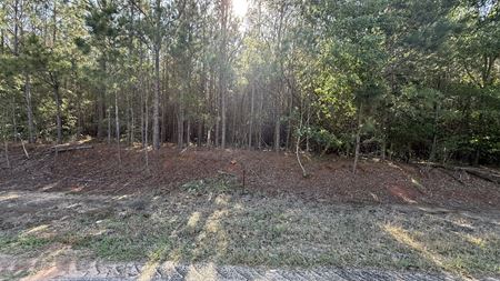 Preview of VacantLand space for Sale at Sherman Brunson Road
