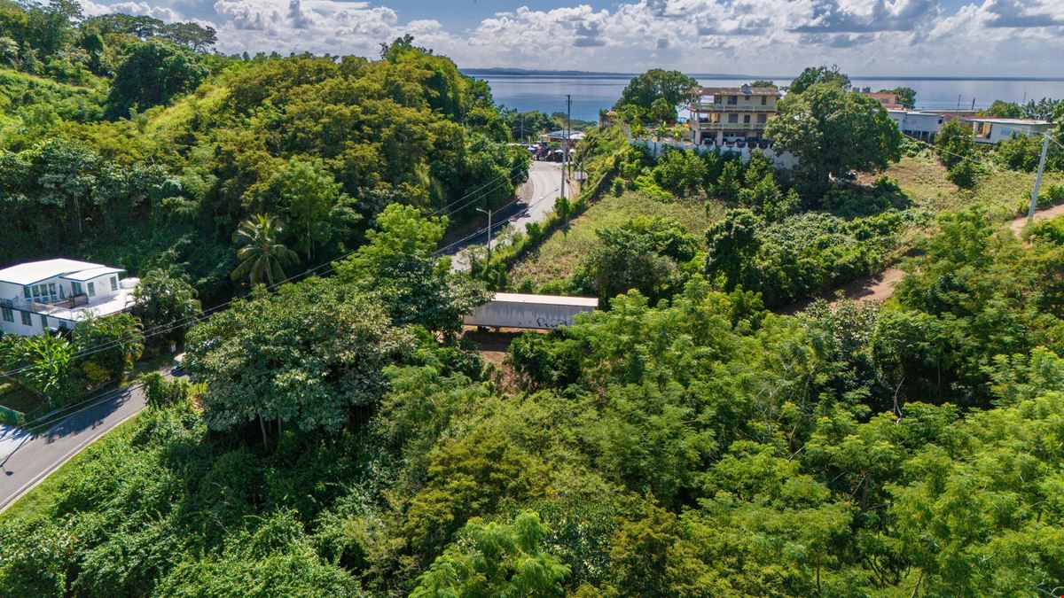 Rincon Residential Property - For Sale