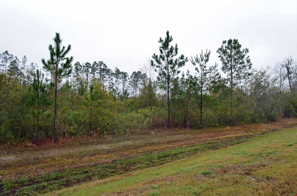 203 Acres in Valdosta