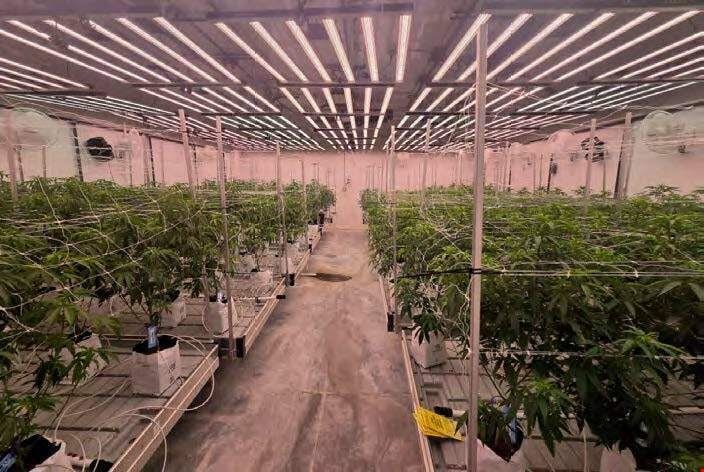 Bangor - Operating Cultivation & Turnkey Processing Facility