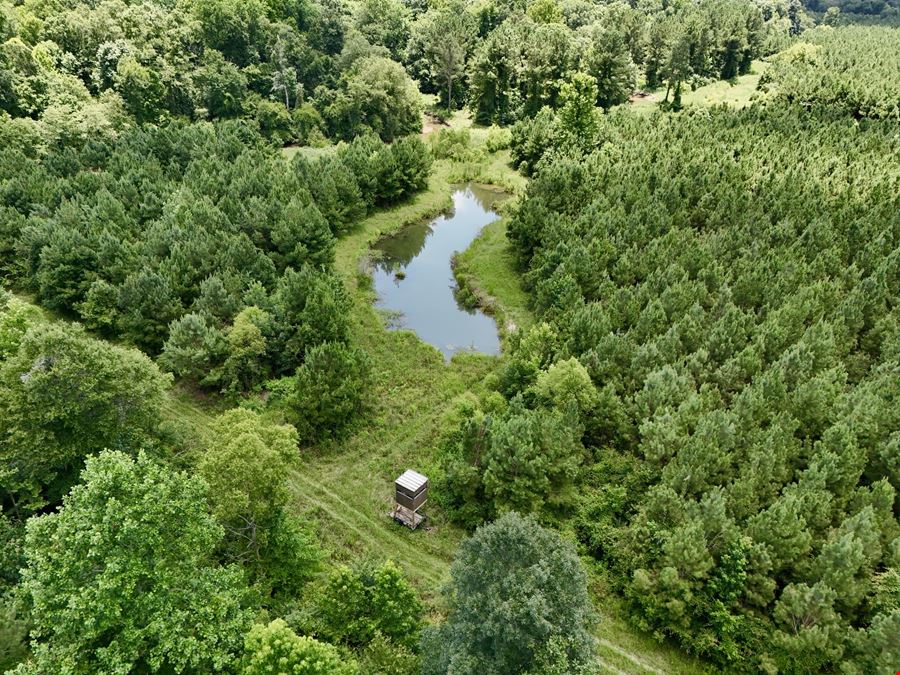 East Fork Ranch & Timber