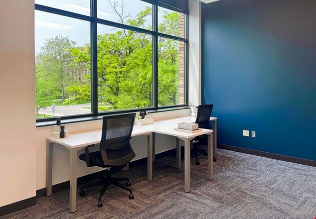 Preview of Office space for Rent at 325 East Grand River Avenue Suite 250