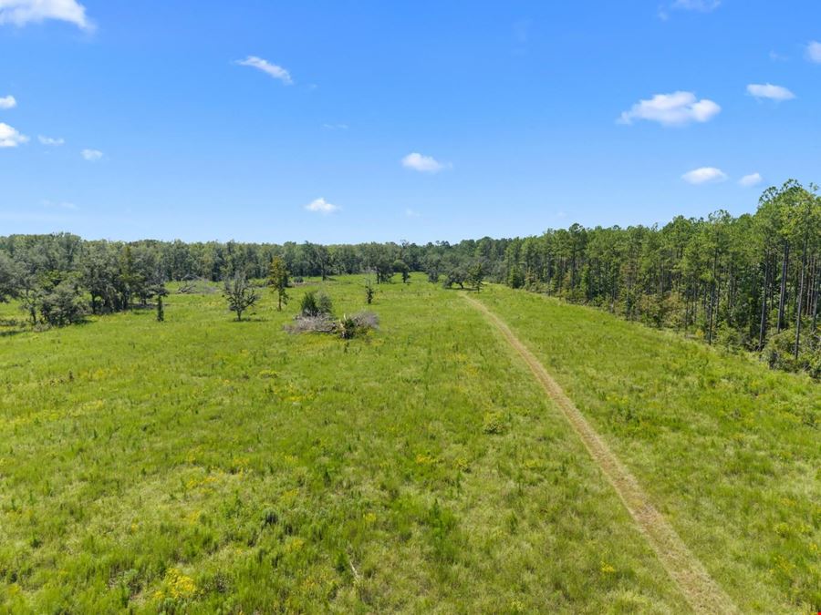 1726 GA Hwy 147