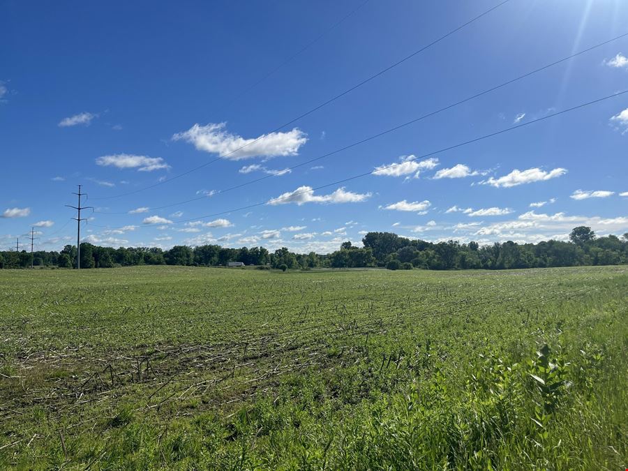 76 Acres Vacant Land for Sale - Chelsea School District