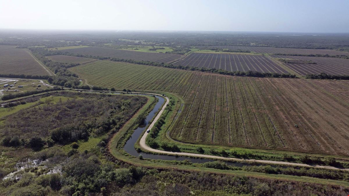 Owl Hammock Farms