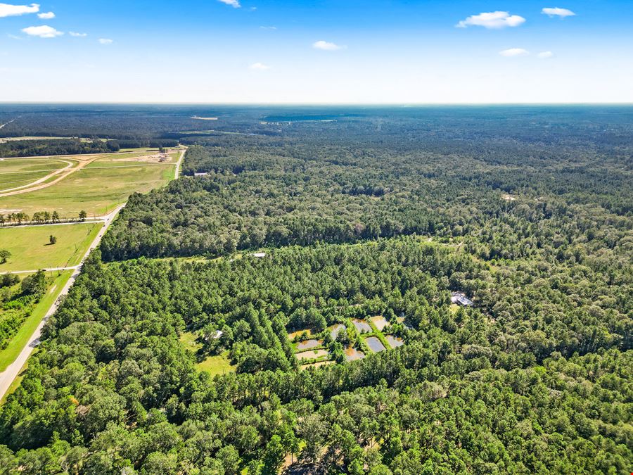 40 Acres of Opportunity: Perfect for Development or Expansion