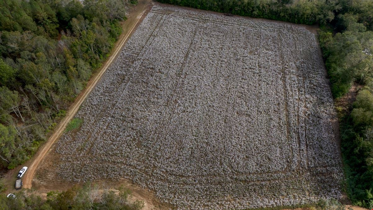 Old Magnolia Farm