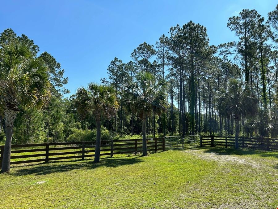 Rocky Hammock Pines