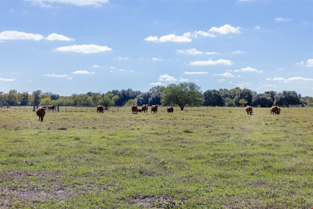 FOR SALE | TBD Johnston Road