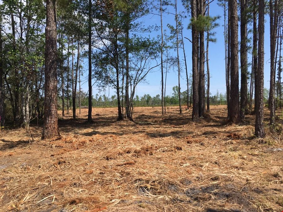 Retail Land Near Cecil Commerce Center at First Coast Expwy