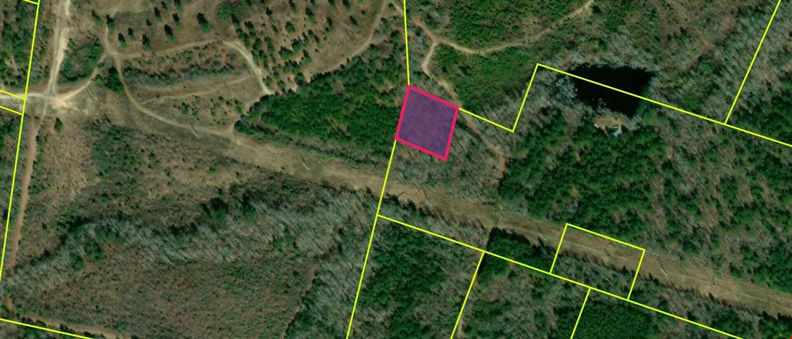 Backwoods Fraternity Initiation Site or Cabin Site In The Woods 1 Acre