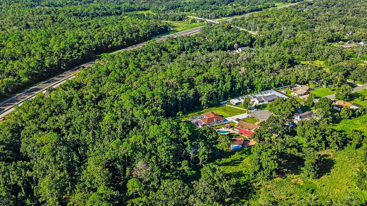 Lutz Premier Development Site