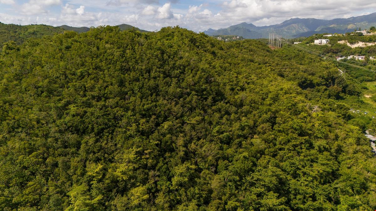 Ponce Agricultural 18.36 Acre Land @ Canas Ward - For Sale