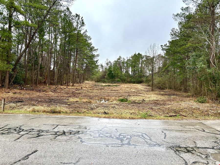 Havelock NC 8+ Acre Commercial Site