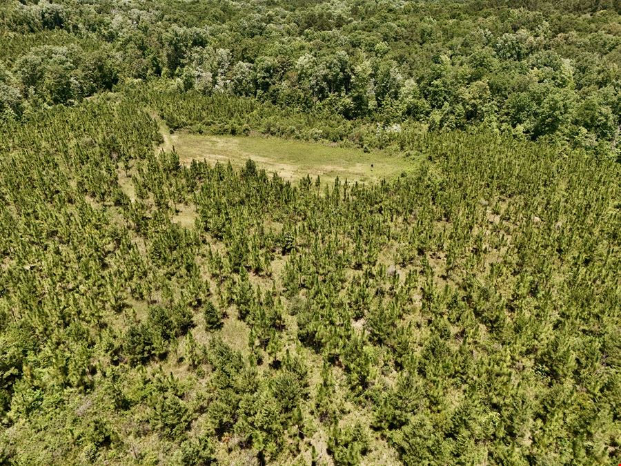 Cowpen Hunting Tract