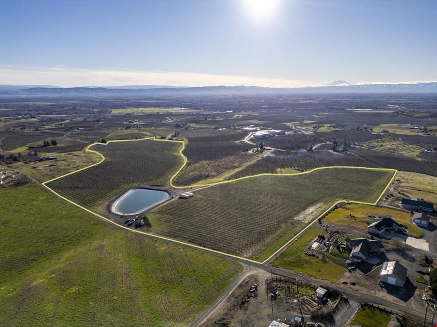 Occidental Orchards