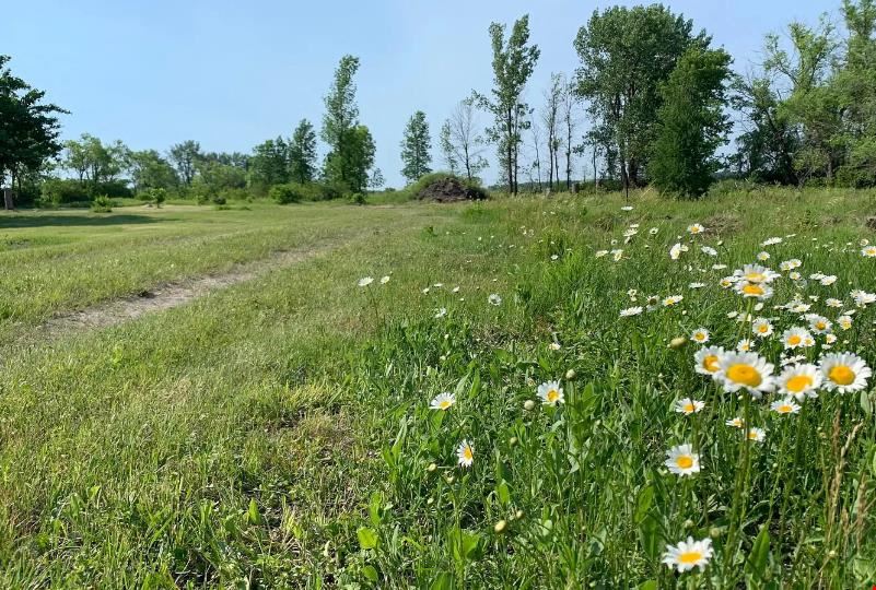 Rural Barnesville Building Site