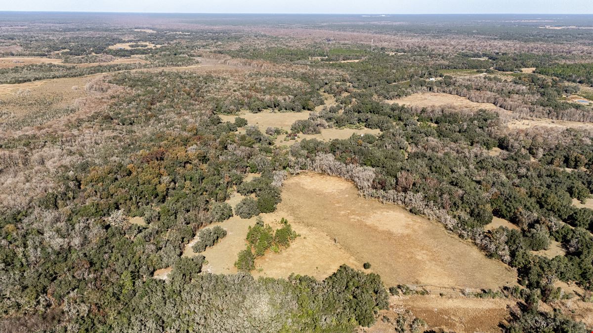Citrus County Ranch and Recreational Tract