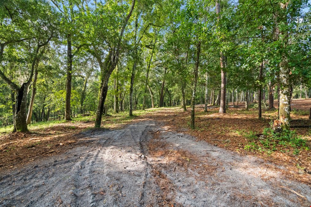 Brooksville 12 Acre Tract