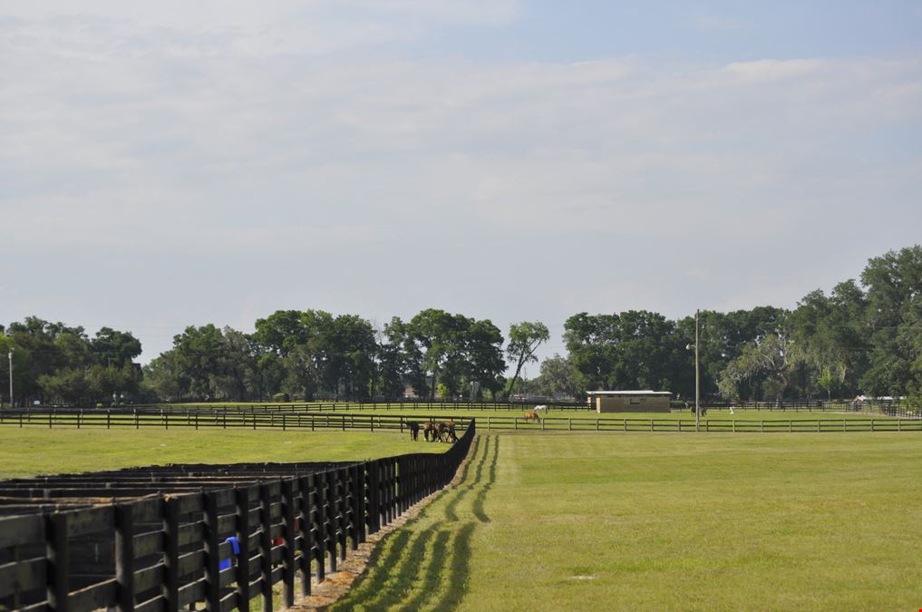 Ocala Stable and Racetrack