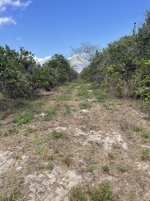 Weirsdale 30 Acre Tract