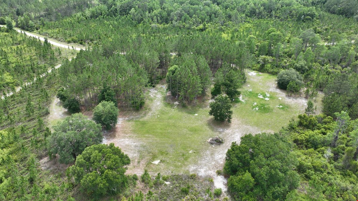 Taylor County Timber Hunting & Homesite
