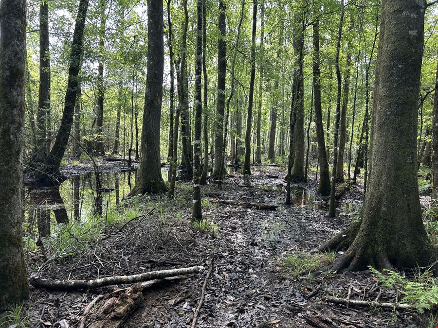 Fox Pen Tract
