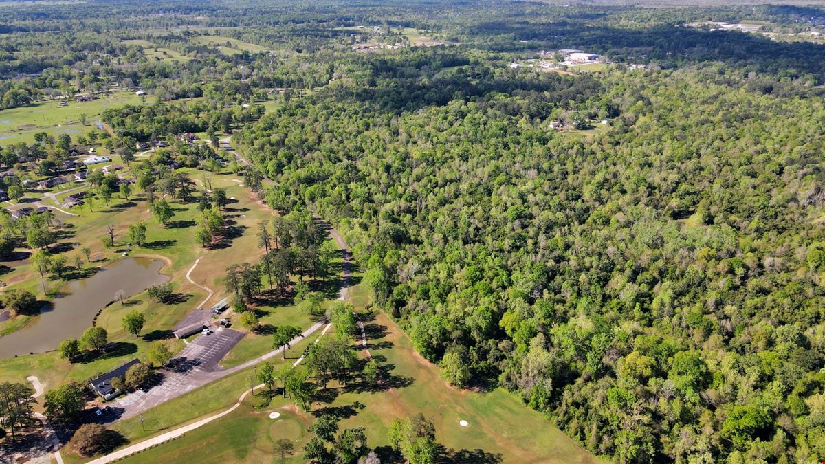 +/- 420 GOLF COURSE FRONTING LAND DEV OPP- 938 Minglewood Road, Liberty, TX 77575