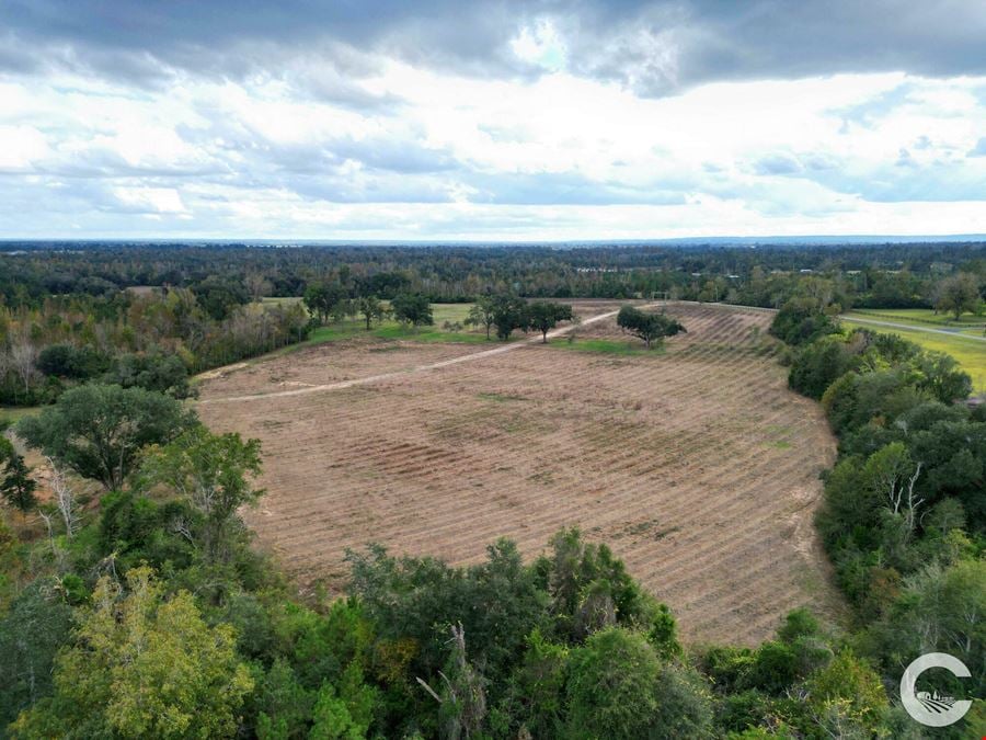 111 Acres with 3,200 Feet of Chipola River Frontage in Marianna, FL