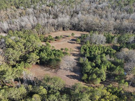 Preview of VacantLand space for Sale at 0 CR 49 