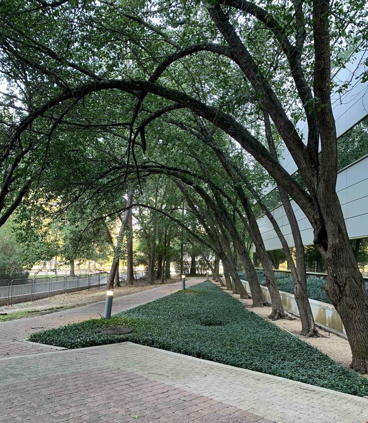 Viva Center