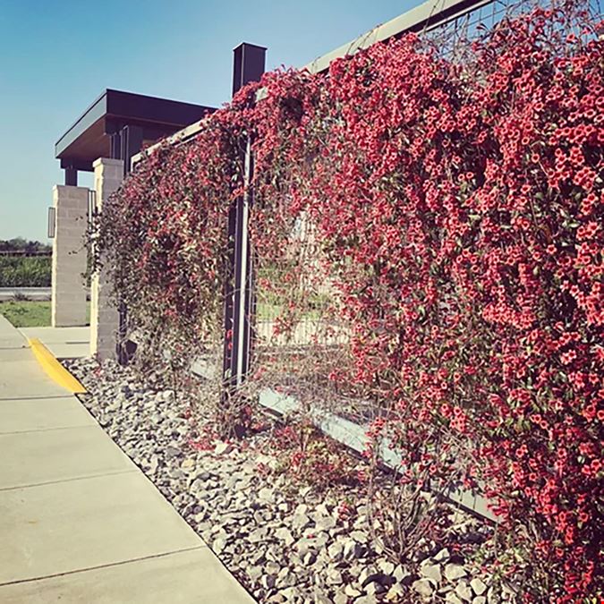 DHS Building | Ardmore