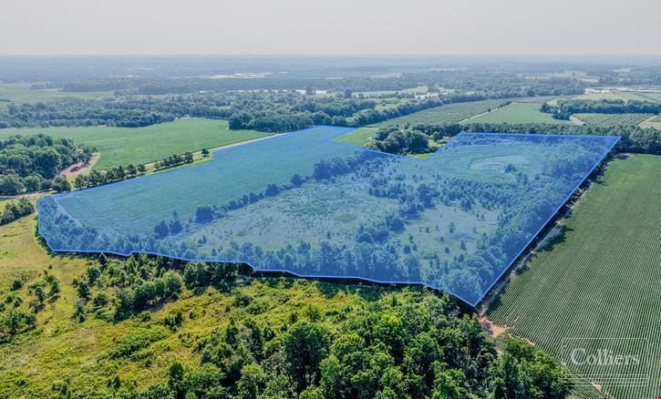 ±46.96-Acre Recreational & Residential Tract | Monetta, SC