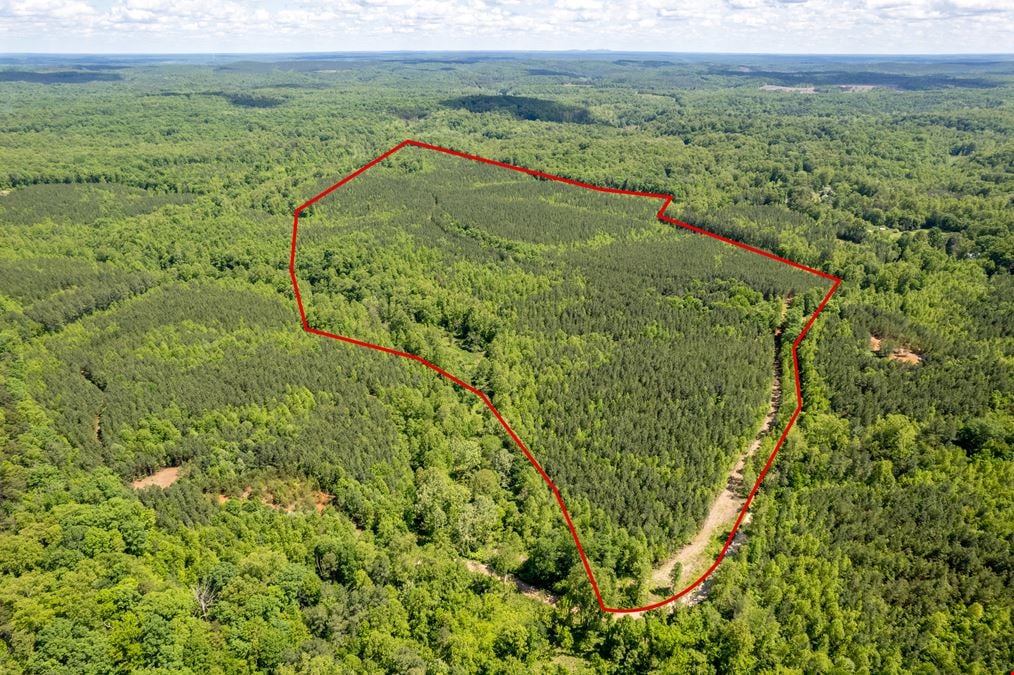 110 ACRES RECREATIONAL LAND OR SMALL DEVELOPMENT OPPORTUNITY