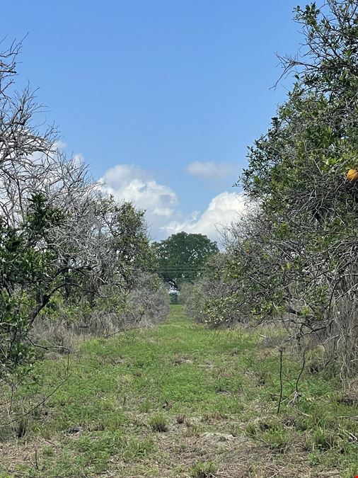 Weirsdale 30 Acre Tract