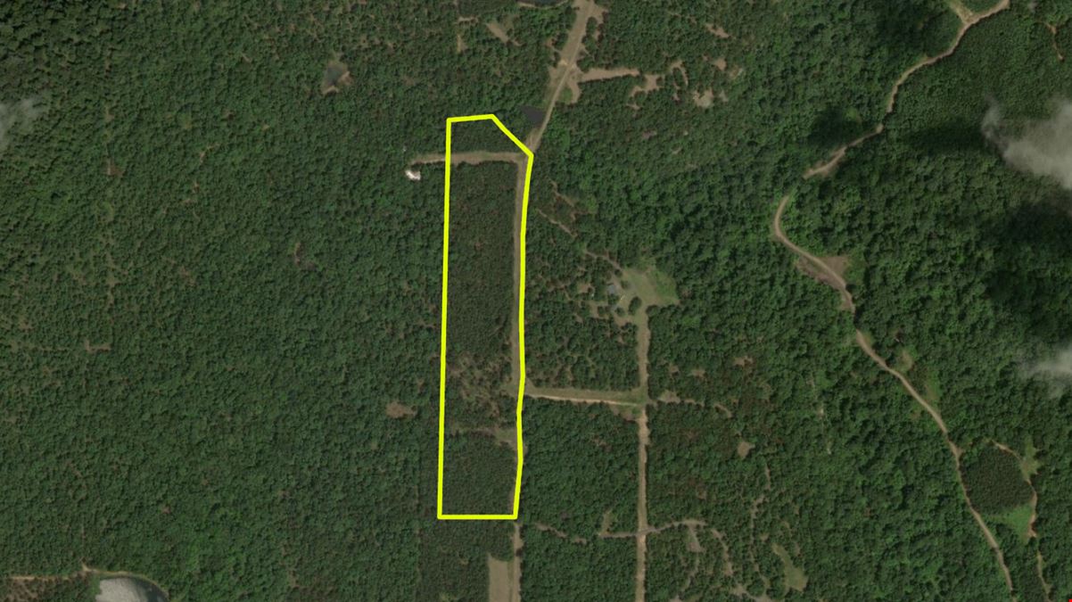 Spring Mountain Airstrip Lot
