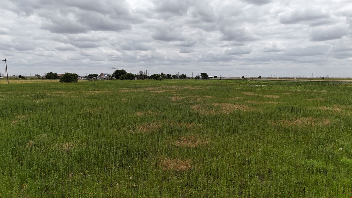 Hale County, 52 Acres