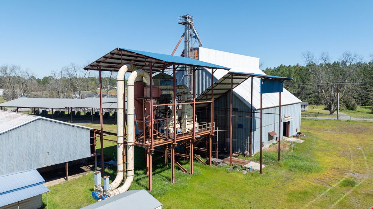 Georgia Peanut Buying Point