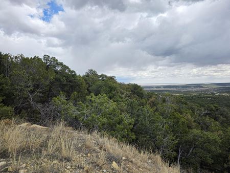 Preview of VacantLand space for Sale at 196 Sedillo Rd