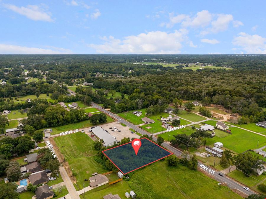 Commercial Development Lot along Highly-Visible Hwy 431