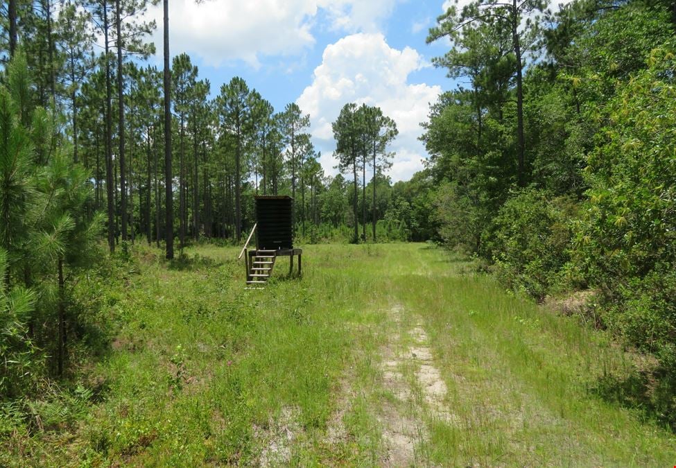 84.69 AC Cooks Landing Rd