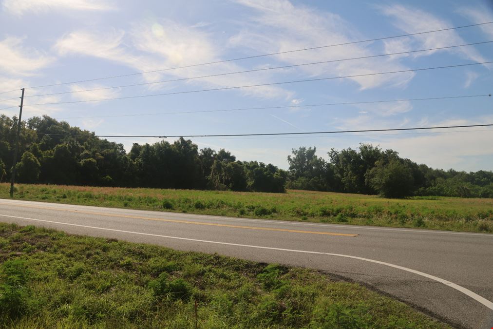 CR-48 and Guava Street Development Land