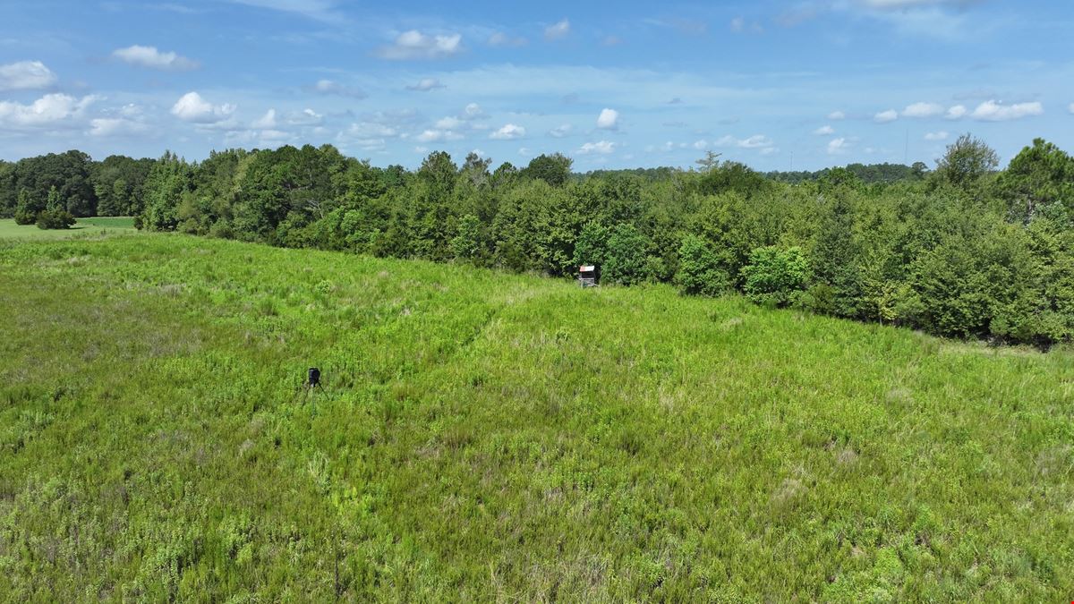 214 acres of Development Land in Hazlehurst, GA